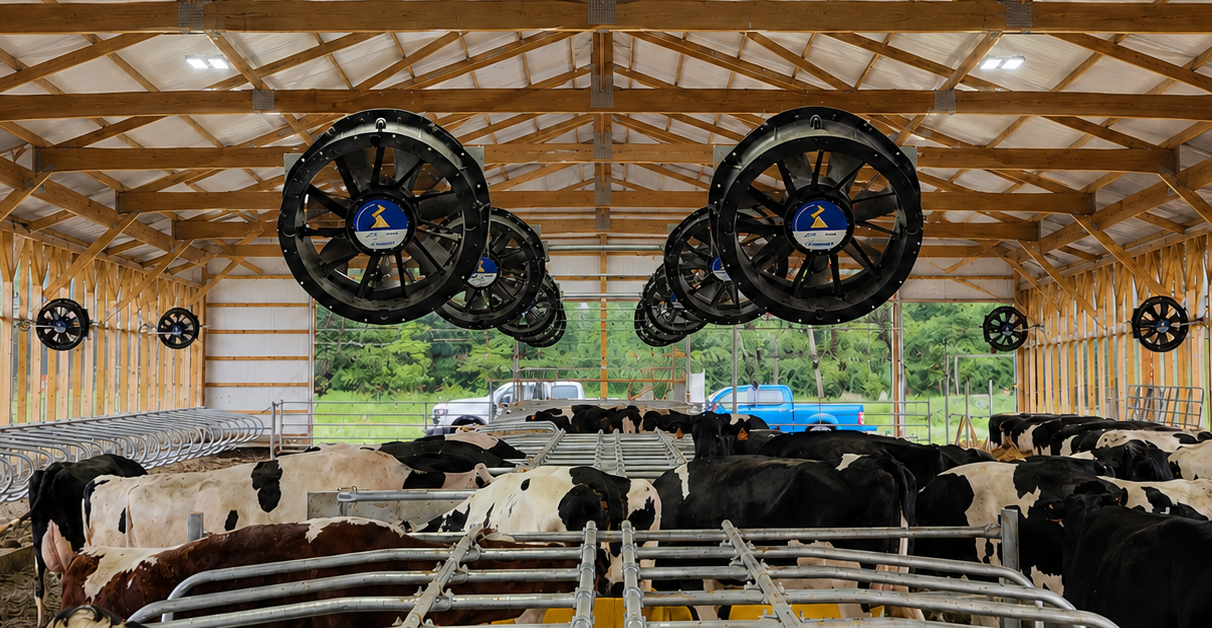 Ventiladores EC distribuidos en una nave para bienestar animal