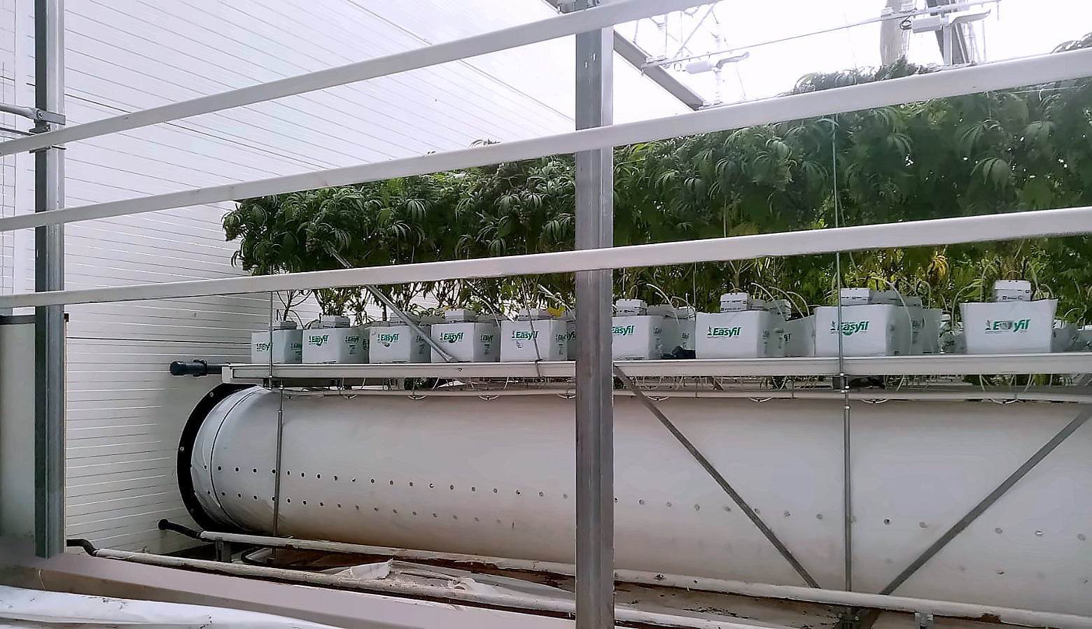 Ventilador de recirculación instalado en un invernadero