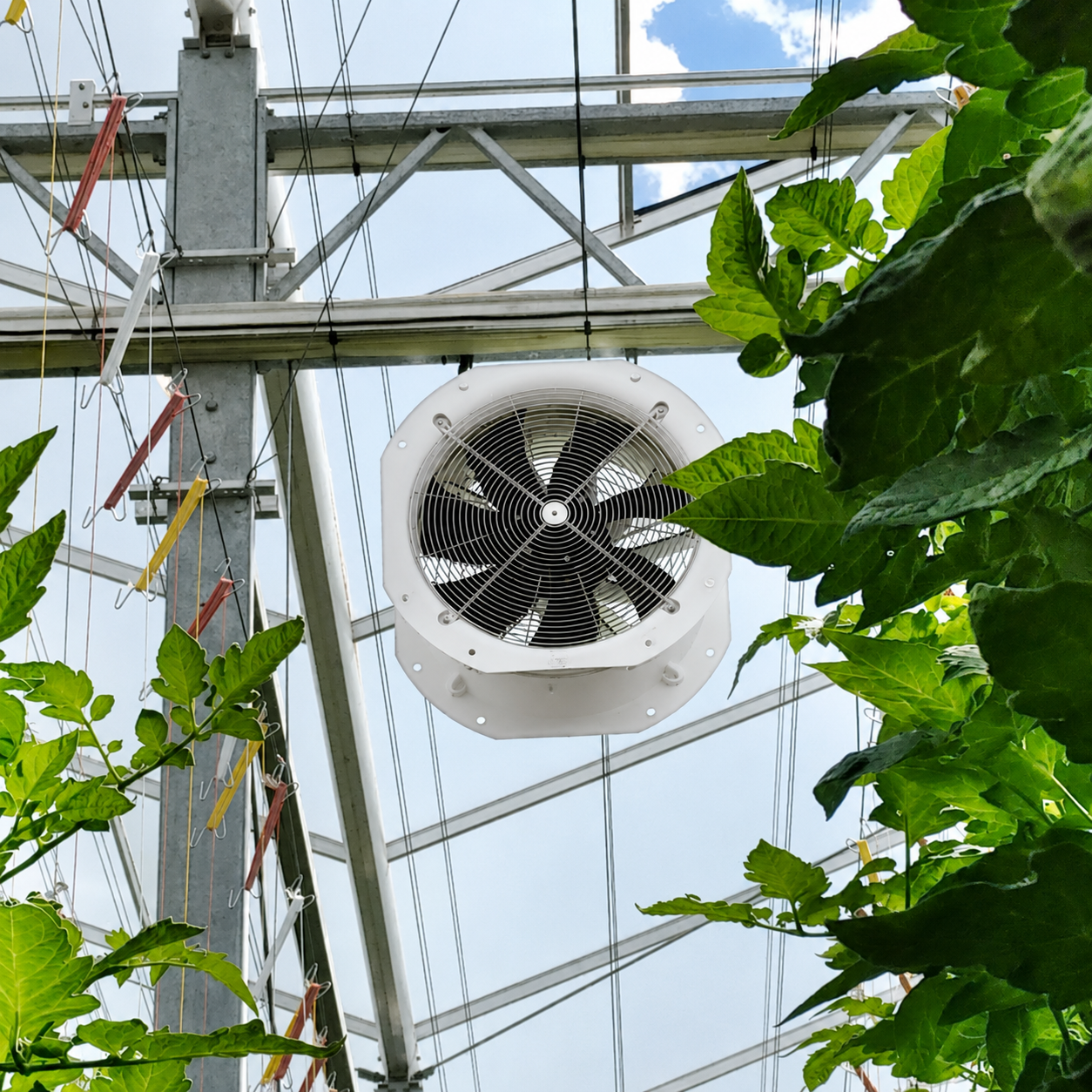 Ventilador de recirculación de aire entre cultivos de invernadero